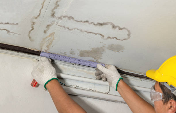 Reliable Flood Cleanup contractor in La Rue, OH by Water Damage Irwin
